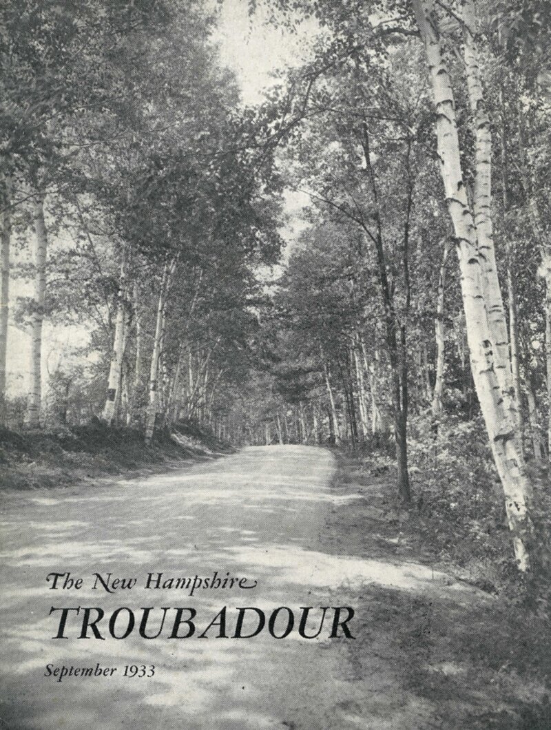 A winding country dirt road lined with birch trees, their trunks prominent in the foreground and foliage creating a canopy overhead.