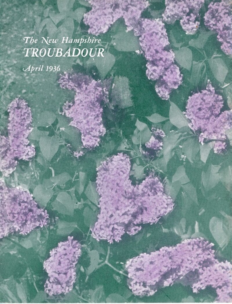 Close-up photograph of purple lilac blossoms in full bloom against green foliage, the official New Hampshire state flower.